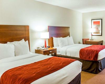 کمفرت این نیر فت براگ