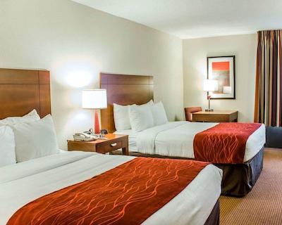 کمفرت این نیر فت براگ