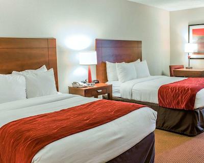 کمفرت این نیر فت براگ