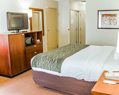 کمفرت این نیر فت براگ