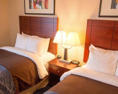 کمفرت این اندرسُن