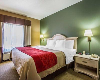 کمفرت این کلومبیا