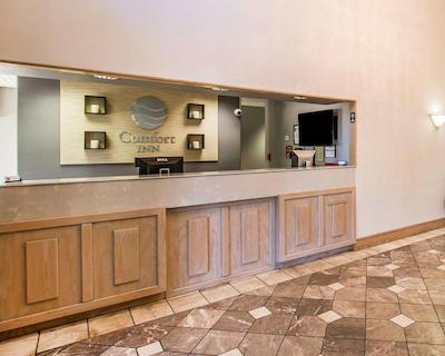 کمفرت این کلومبیا