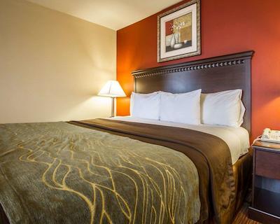 کمفرت این وست