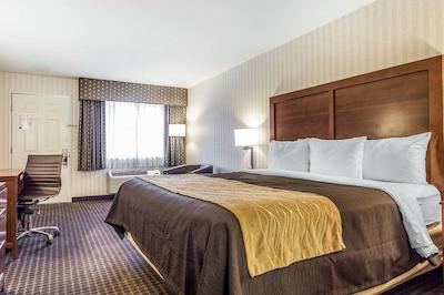 کمفرت این هالف مون ب