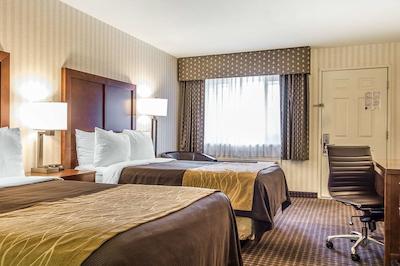 کمفرت این هالف مون ب