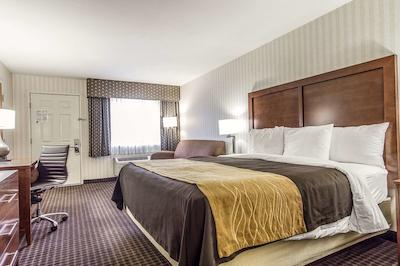 کمفرت این هالف مون ب