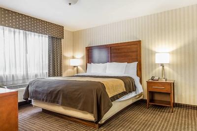 کمفرت این هالف مون ب