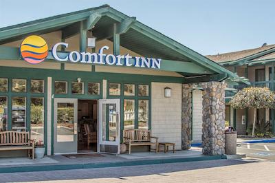 کمفرت این هالف مون ب