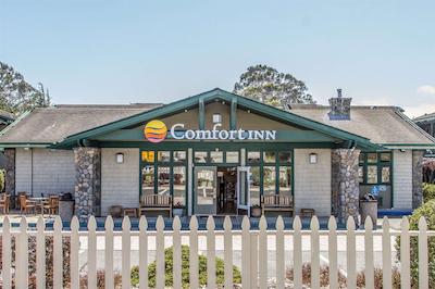 کمفرت این هالف مون ب