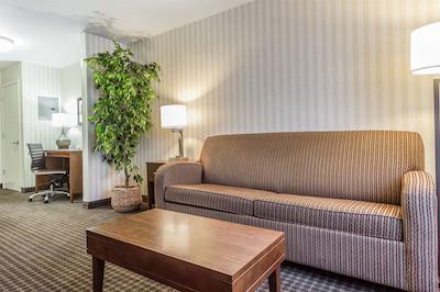 کمفرت این هالف مون ب