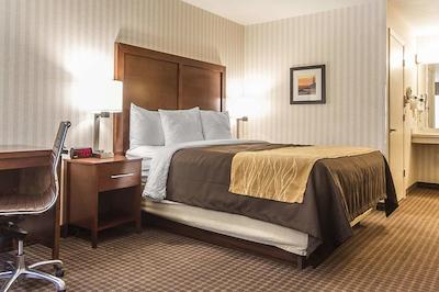 کمفرت این هالف مون ب