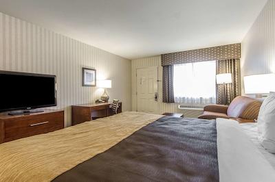 کمفرت این هالف مون ب