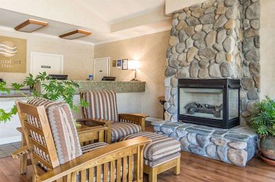 کمفرت این هالف مون ب