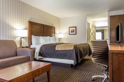 کمفرت این هالف مون ب