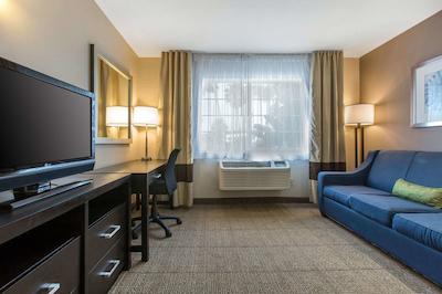 کمفرت این اند سویتز زو اسیا ورلد اریا