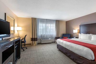 کمفرت این اند سویتز زو اسیا ورلد اریا