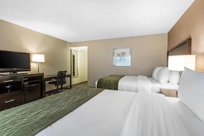 کمفرت این اند سویتز زو اسیا ورلد اریا