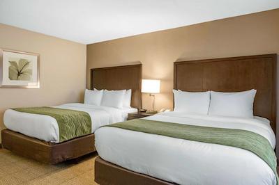 کمفرت این اند سویتز زو اسیا ورلد اریا