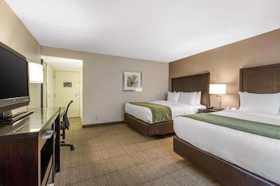 کمفرت این اند سویتز زو اسیا ورلد اریا