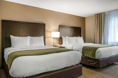 کمفرت این اند سویتز زو اسیا ورلد اریا