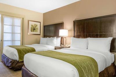 کمفرت این اند سویتز زو اسیا ورلد اریا