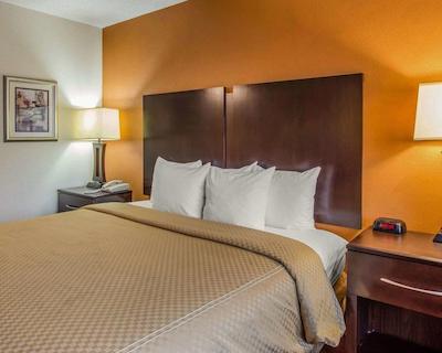 کلارین سویتز اوگوستا