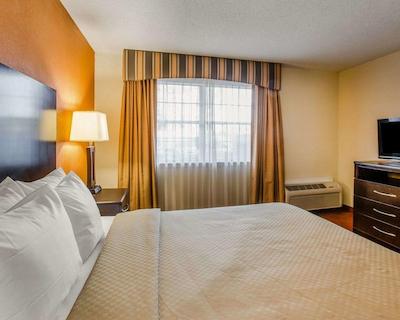 کلارین سویتز اوگوستا