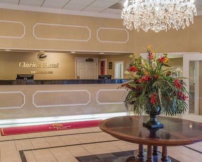 کلارین سویتز اوگوستا