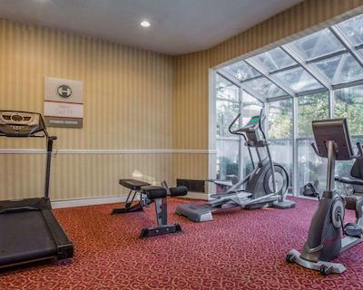 کلارین سویتز اوگوستا