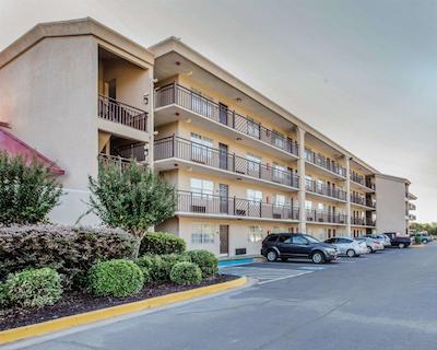 کلارین سویتز اوگوستا