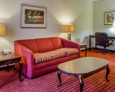 کلارین سویتز اوگوستا