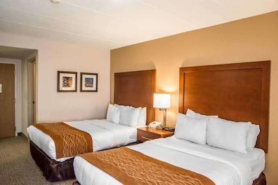 کمفرت این نردیست