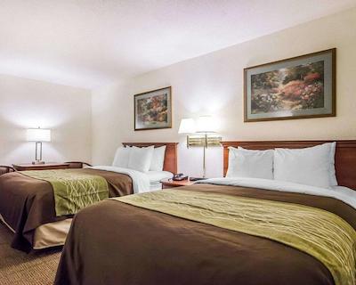 کوالیتی این اُپریلاند اریا