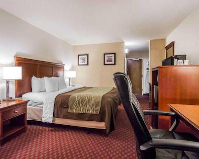 کوالیتی این اُپریلاند اریا