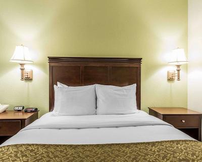 کمفرت این پینهورست