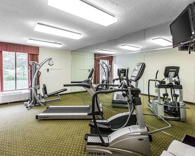 کمفرت این پینهورست