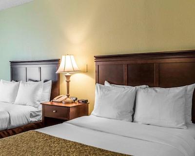 کمفرت این پینهورست