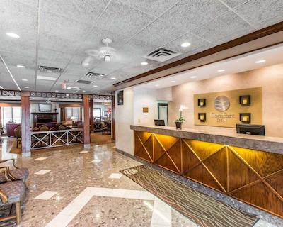 کمفرت این پینهورست