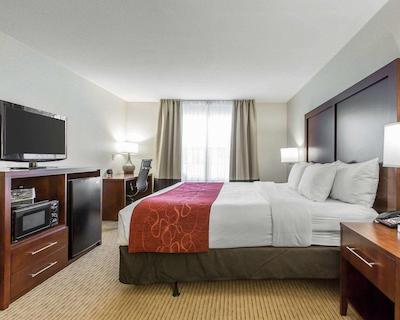 کمفرت سویتز دونتون