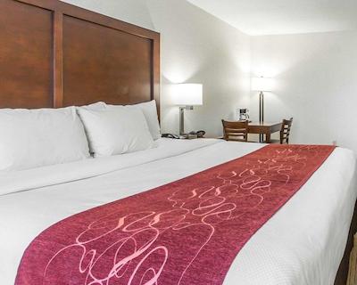 کمفرت سویتز دونتون