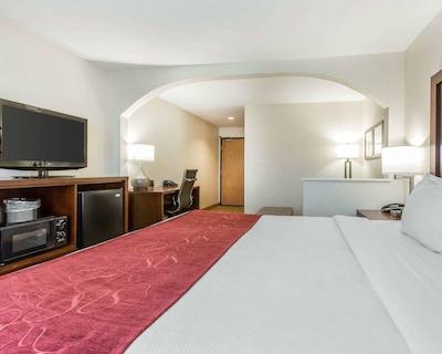 کمفرت سویتز دونتون