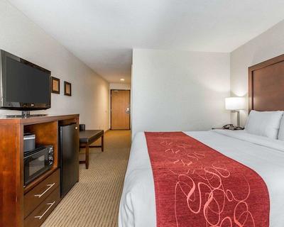 کمفرت سویتز دونتون