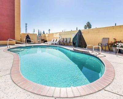 کمفرت سویتز دونتون