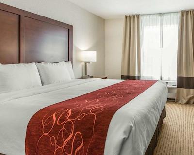 کمفرت سویتز دونتون