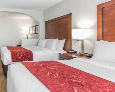 کمفرت سویتز دونتون