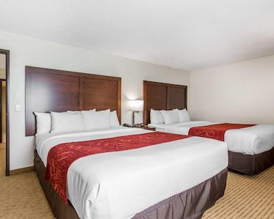 کمفرت سویتز دونتون