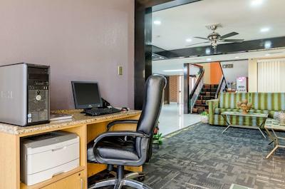 کوالیتی این اسود