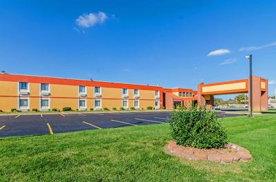 کوالیتی این اسود