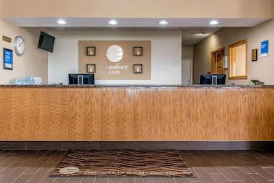 کمفرت این اسود جاکسُنویل